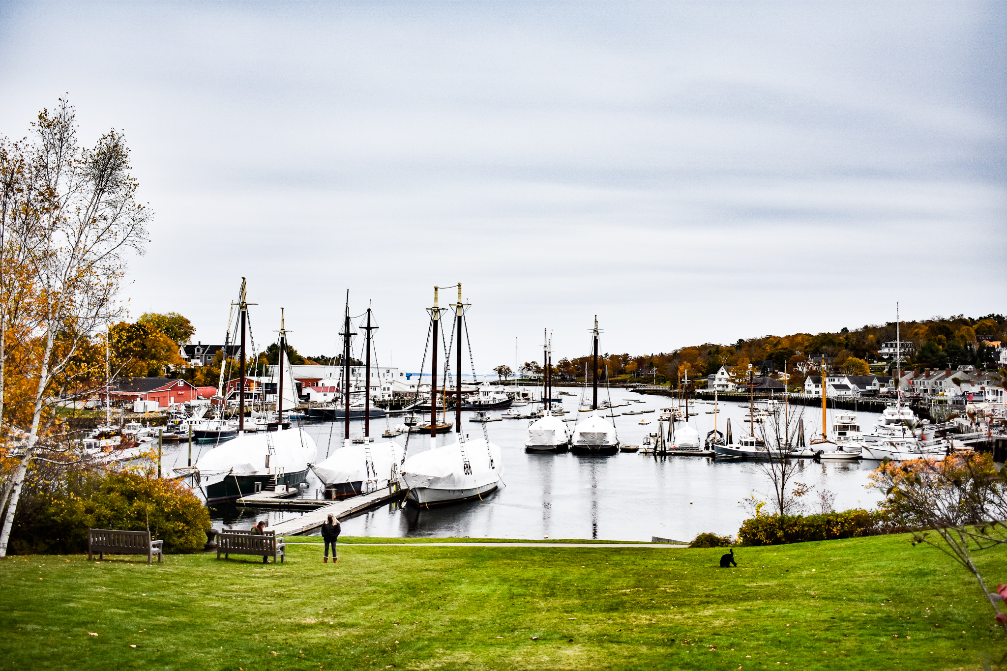 Grabbing Lunch in Camden, Maine - Lyssy in the City