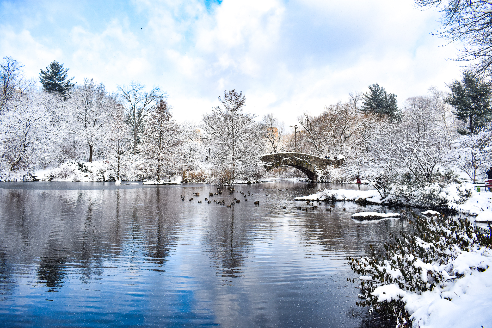 Winter Wonderland in Central Park - Lyssy in the City
